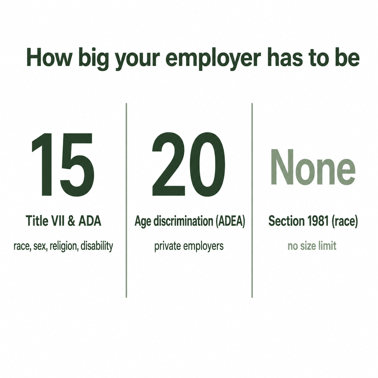 Infographic of employer size cutoffs: 15 employees for Title VII and the ADA, 20 for the ADEA, and no minimum for Section 1981