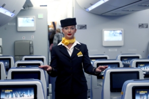 flight attendant alleges workplace sexual assault